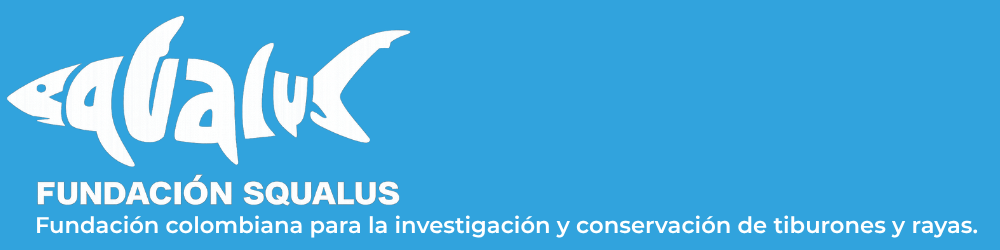 Fundación SQUALUS