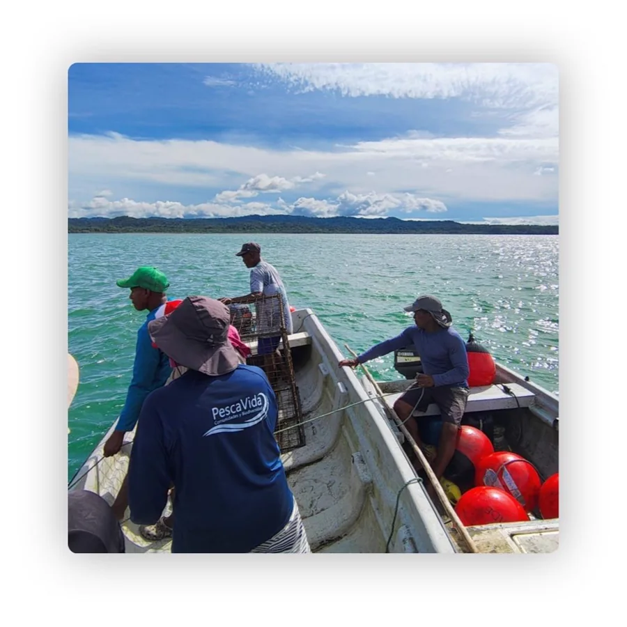 Fortalecimiento de las comunidades costeras: medios de vida sostenibles y conservación de la biodiversidad marina y costera en el marco del Acuerdo de Paz de Colombia