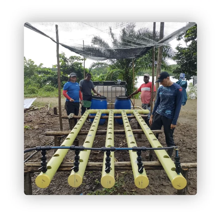 Fortalecimiento de las comunidades costeras: medios de vida sostenibles y conservación de la biodiversidad marina y costera en el marco del Acuerdo de Paz de Colombia