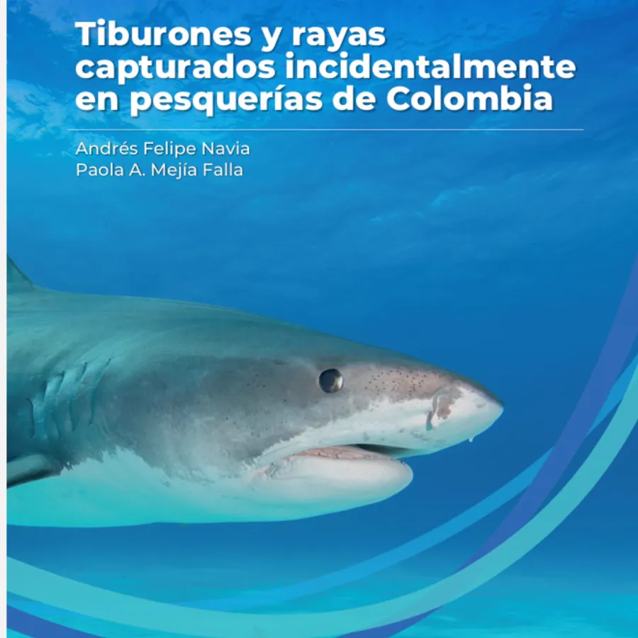 Identifica tiburones y rayas capturados incidentalmente en Colombia.