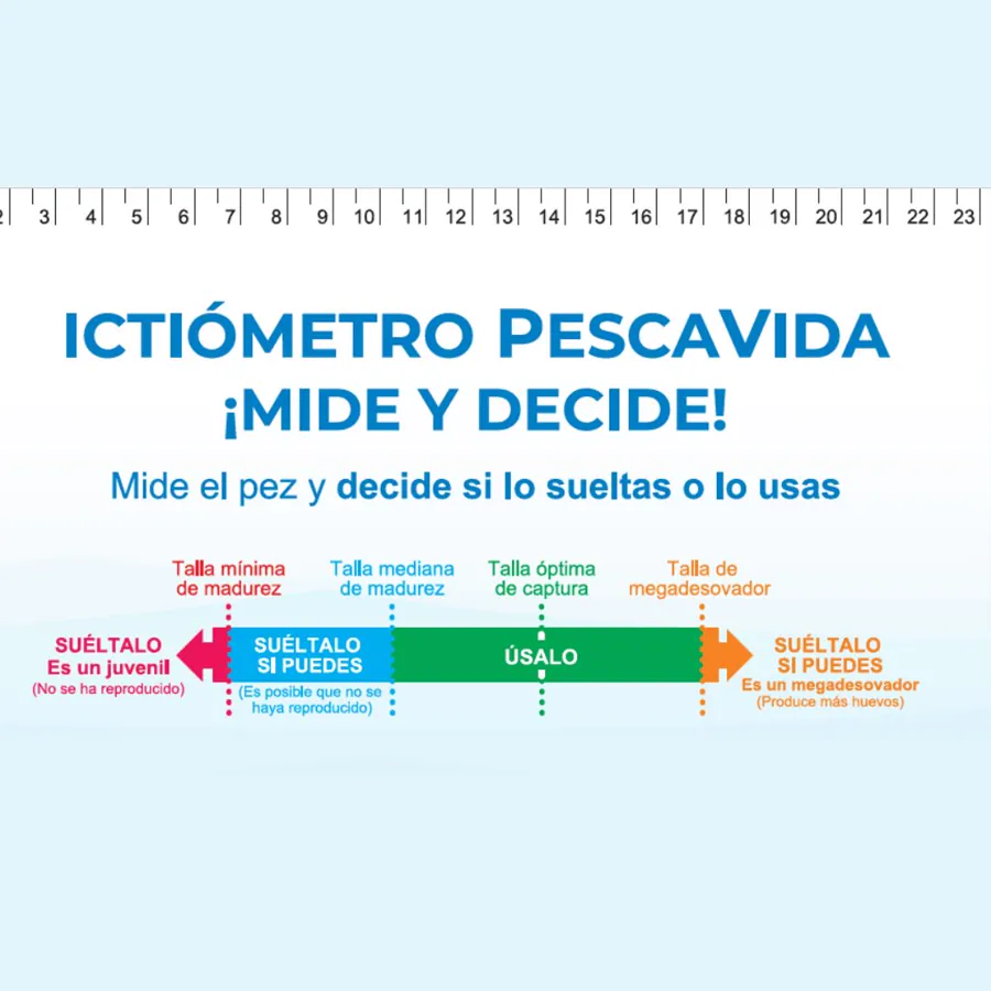 Ictiómetro PescaVida – Espineles