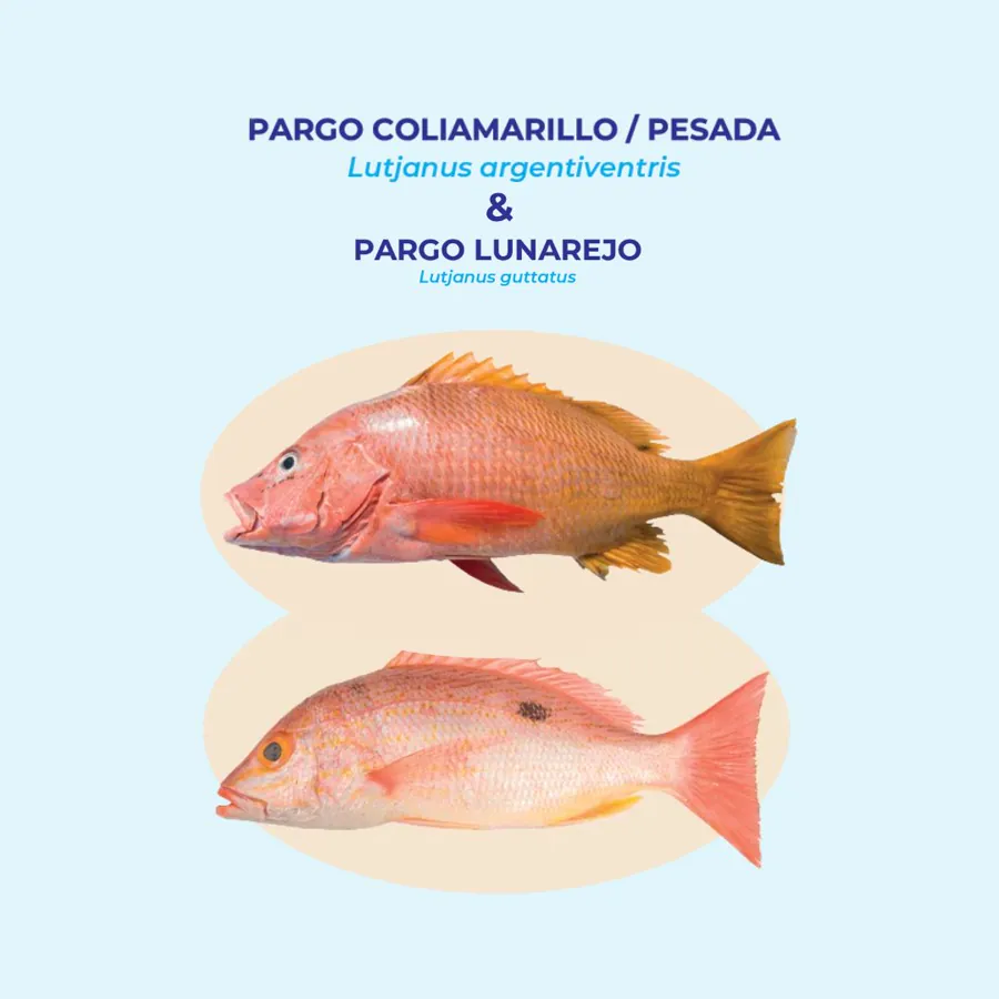 Biología para una pesca sostenible