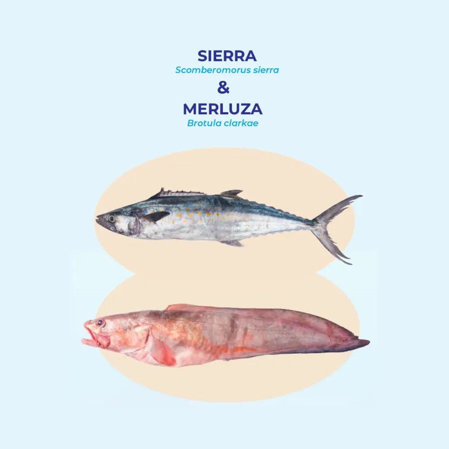 Biología para una pesca sostenible
