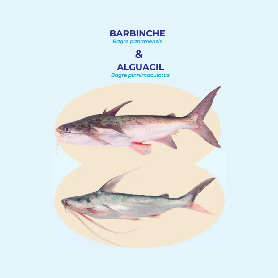 Biología para una pesca sostenible