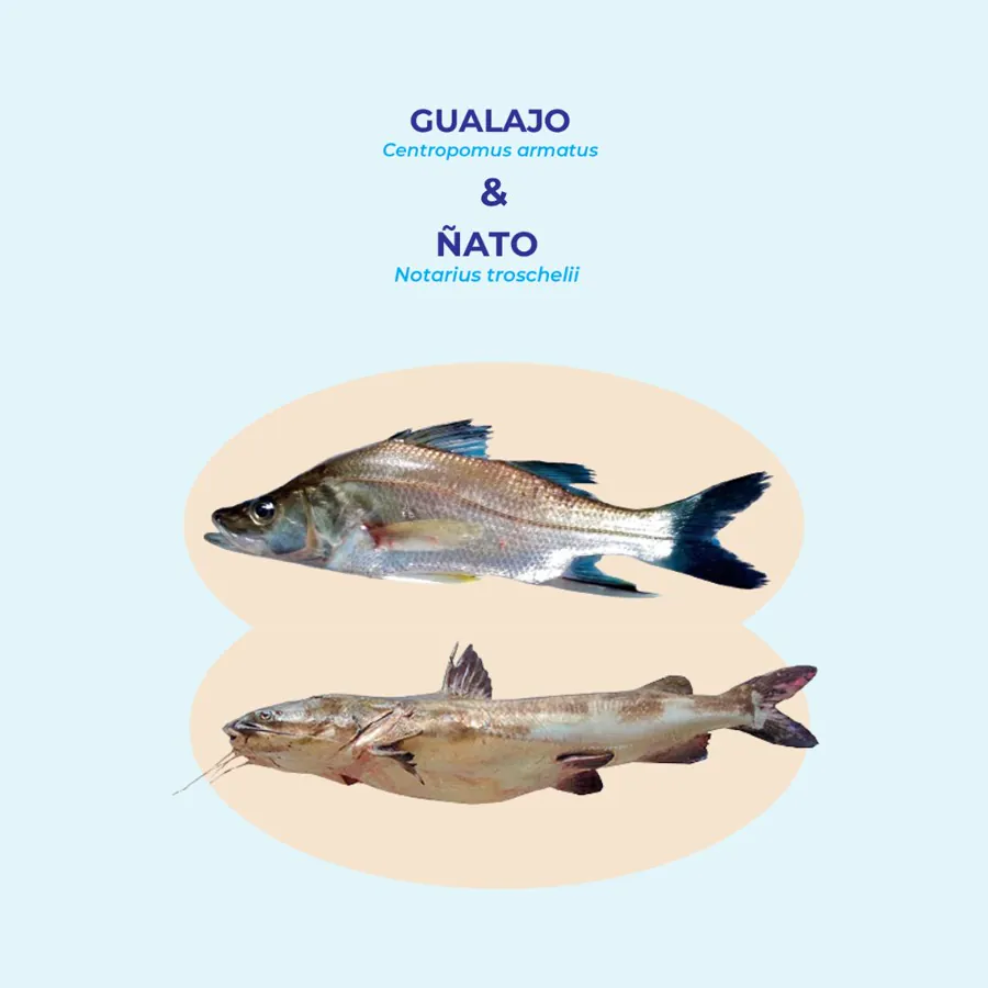 Biología para una pesca sostenible
