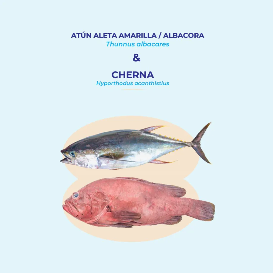 Biología para una pesca sostenible