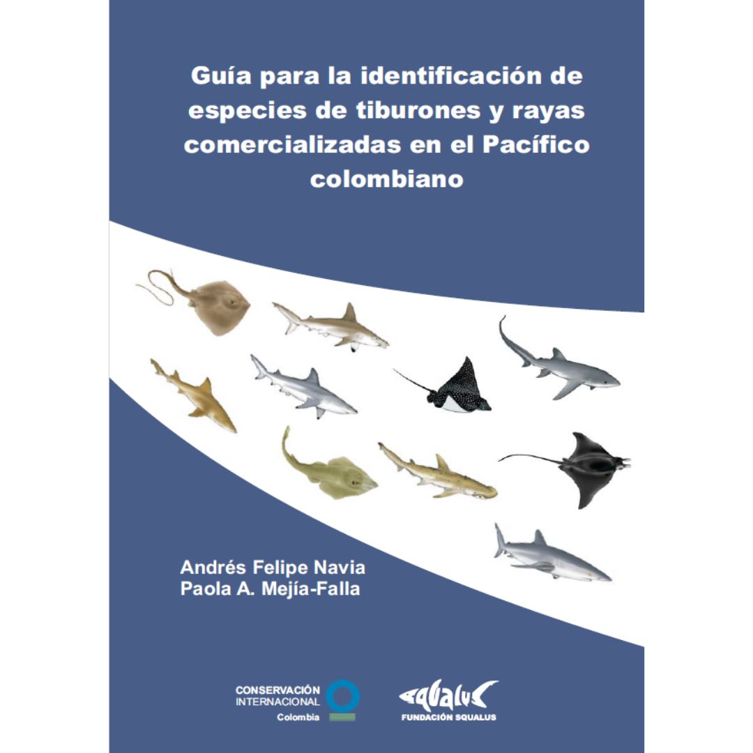 Guía para identificar tiburones y rayas capturados en pesca en el Pacífico colombiano