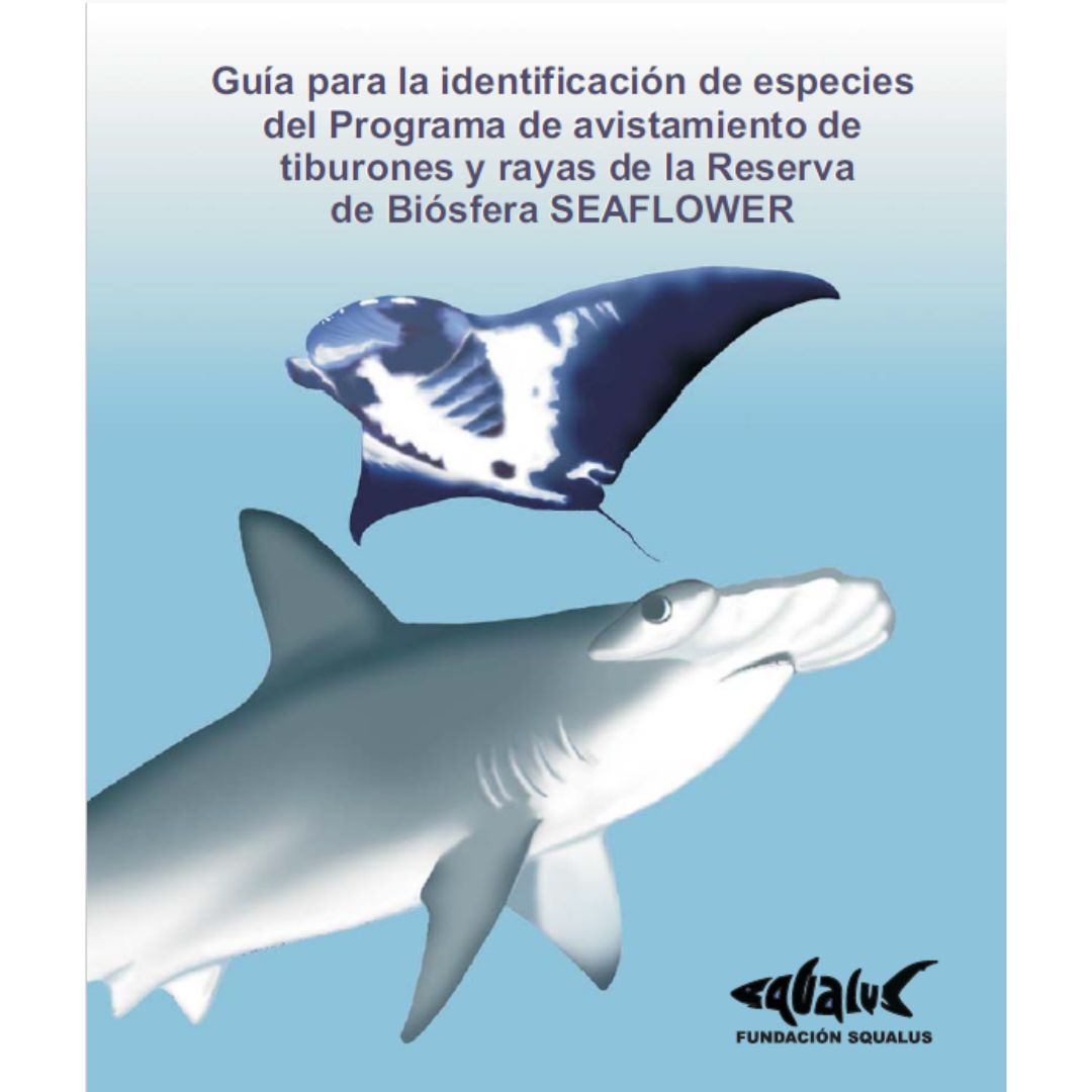 Identifica tiburones y rayas avistados en actividades acuáticas recreativas en el Archipiélago de San Andrés