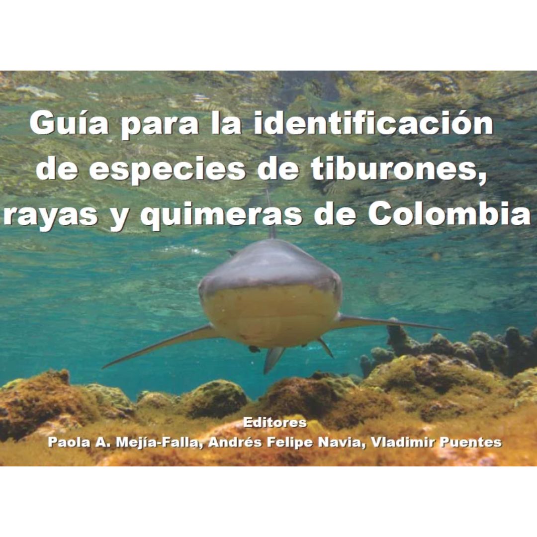 Conoce las especies de peces cartilaginosos registrados en Colombia