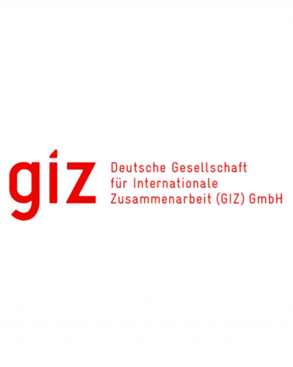 Logo de GIZ